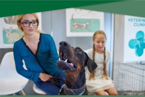 Everything you need to know about pet insurance to protect your pet and your wallet